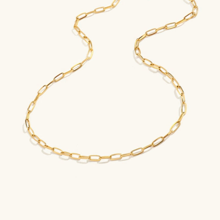 Collier en Chaîne Or Ambre