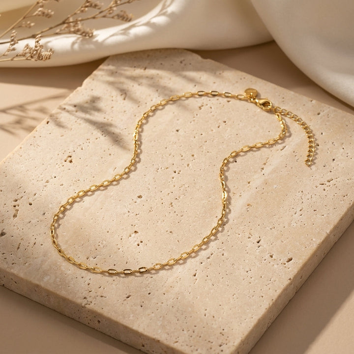 Collier Chaîne Délicate